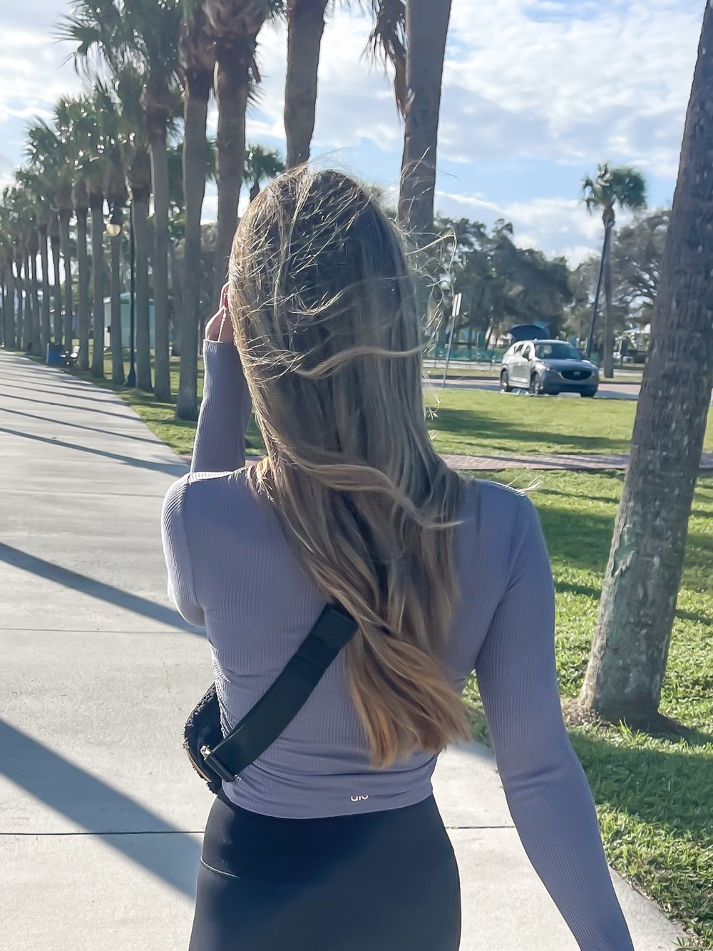 ALO Yoga Ribbed long sleeve Top in Dusty Lavender Gray